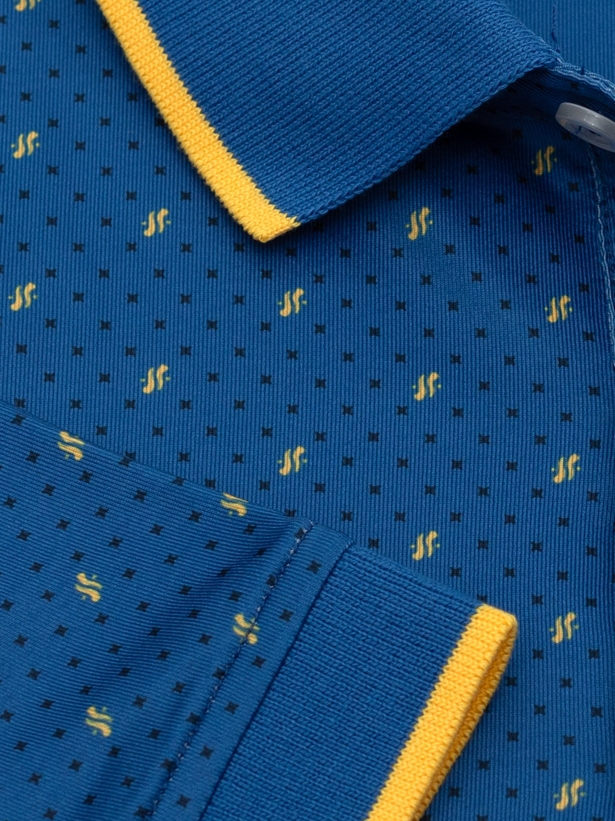 Clearwater Polo