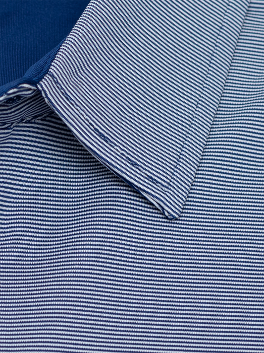 Tampa Polo